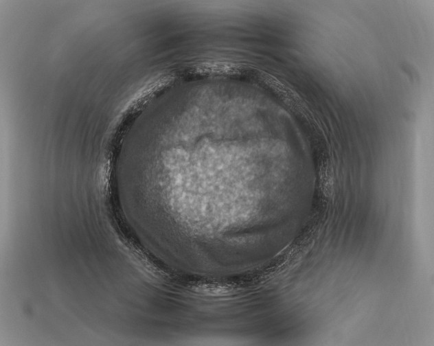 X0000112770735200909101551