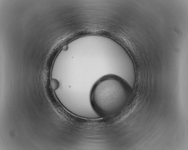 X0000112770736200909101551