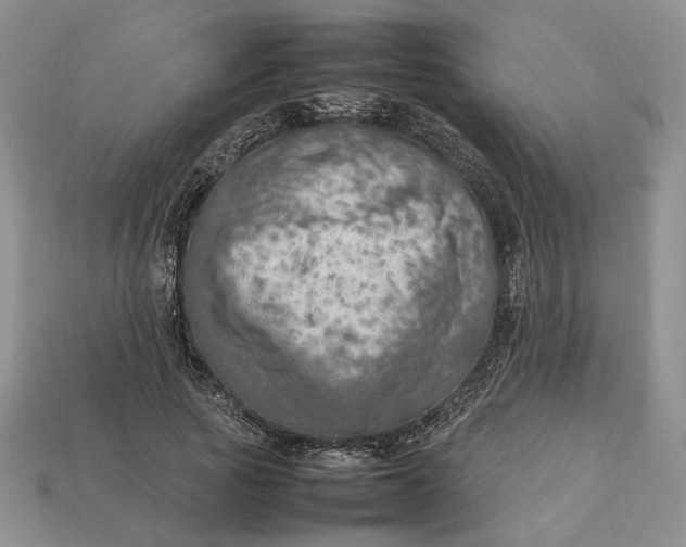 X0000112770737200909101551