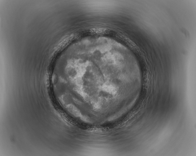 X0000112770738200909101551