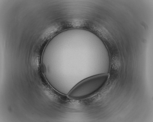 X0000112770740200909101551