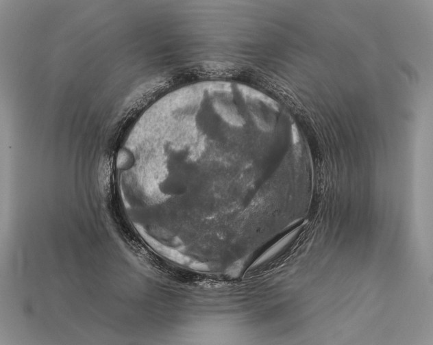 X0000112770742200909101551