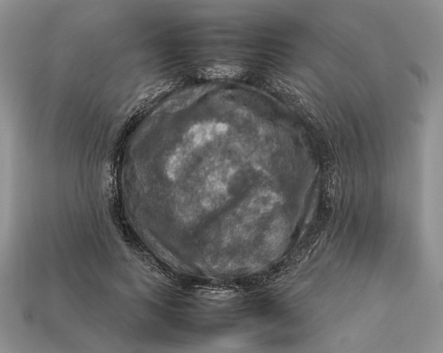 X0000112770743200909101551