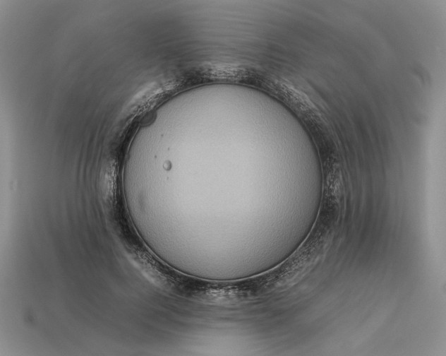 X0000112770744200909101551