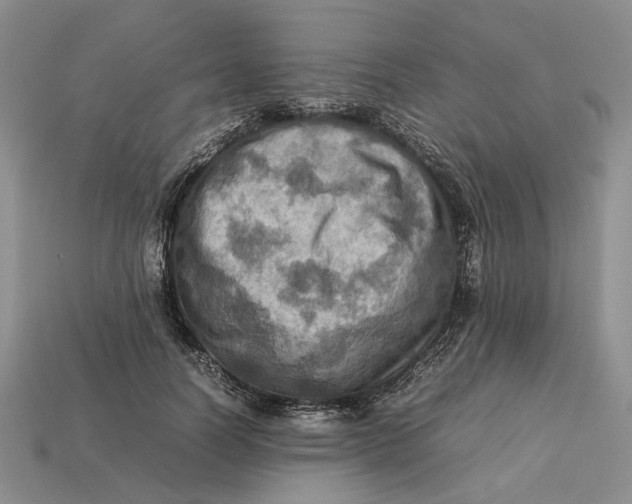 X0000112770746200909101551