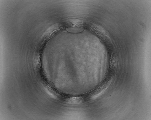 X0000112770748200909101551