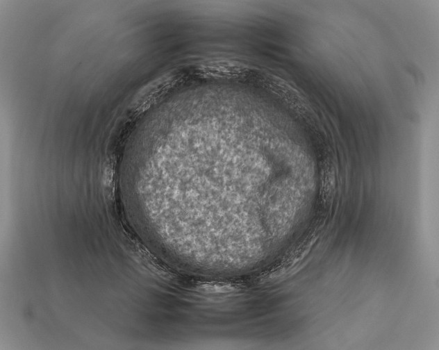 X0000112770749200909101551