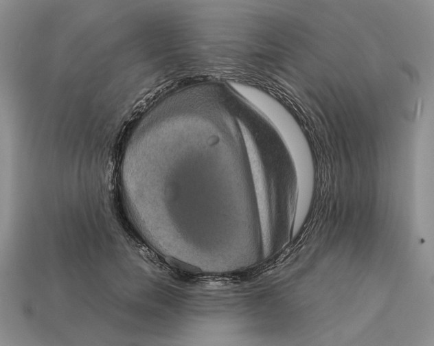 X0000112770750200909101551