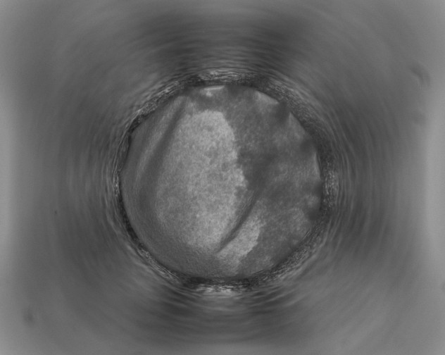 X0000112770751200909101551