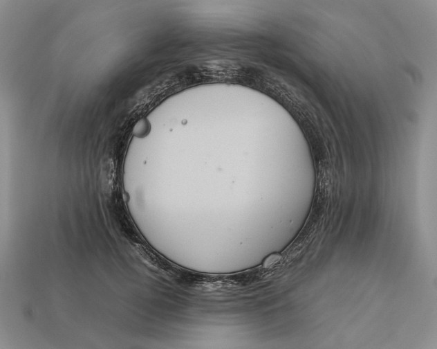 X0000112770752200909101551