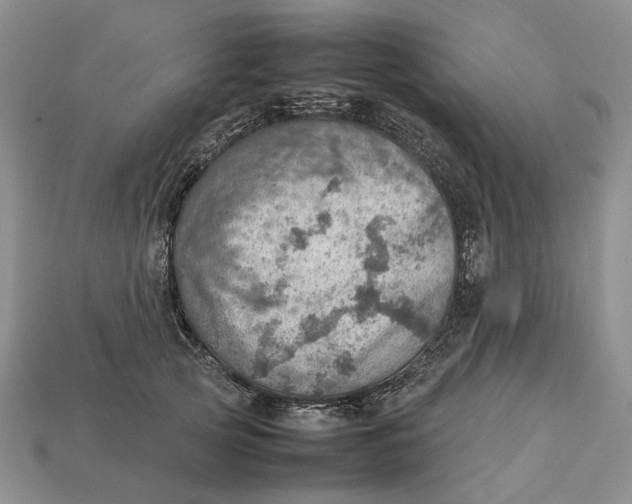 X0000112770753200909101551