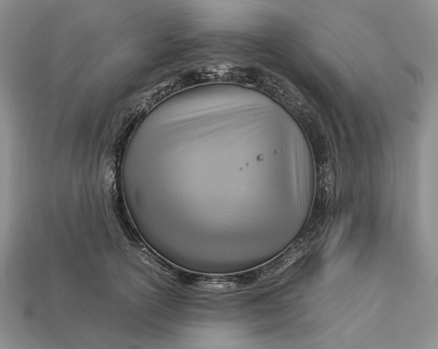 X0000112770754200909101551