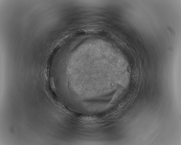 X0000112770755200909101551