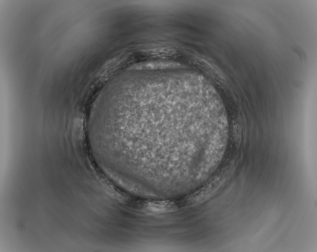 X0000112770757200909101551