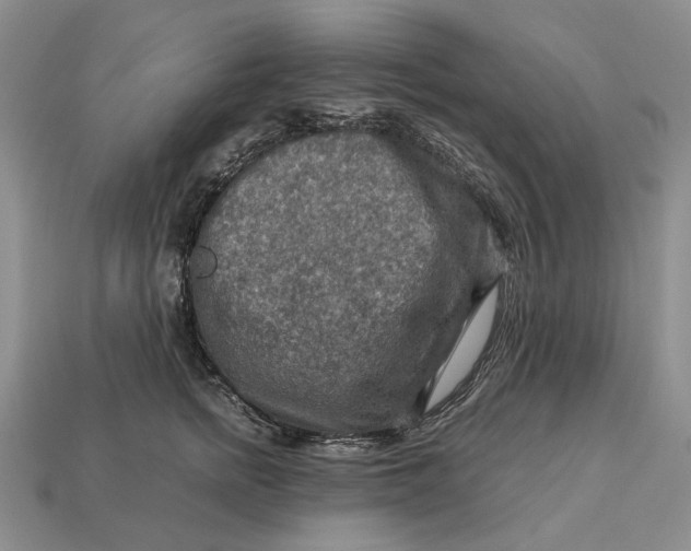 X0000112770758200909101551