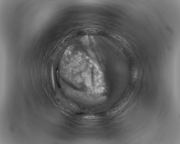 X0000112770759200909101551