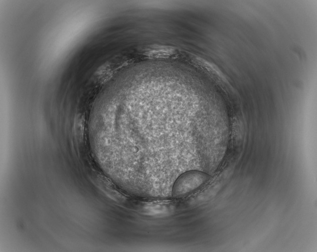 X0000112770761200909101551