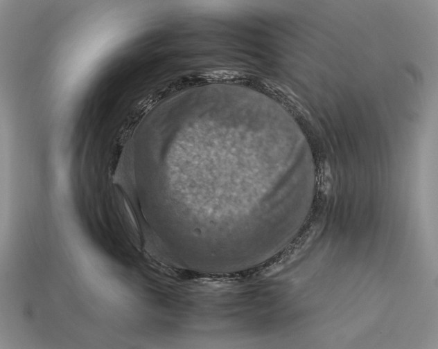 X0000112770763200909101551