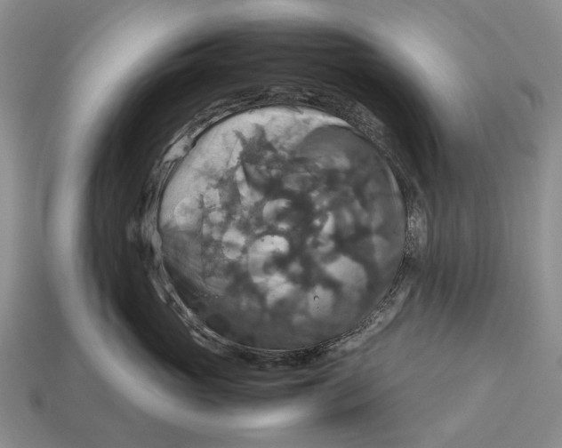 X0000112770765200909101551