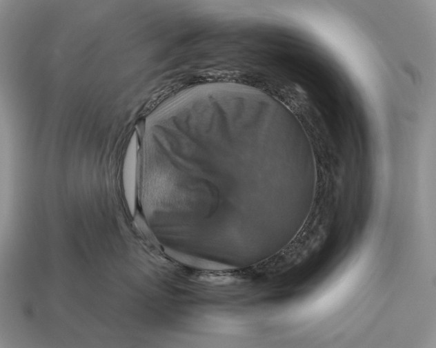 X0000112770767200909101551