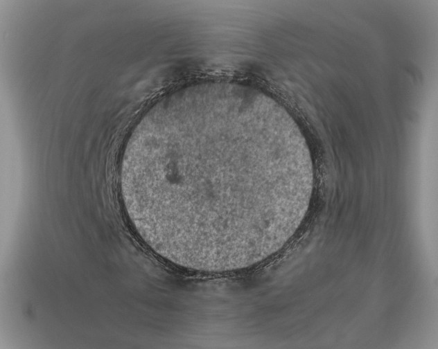 X0000112770769200909101550