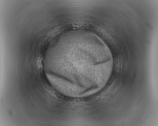 X0000112770770200909101550