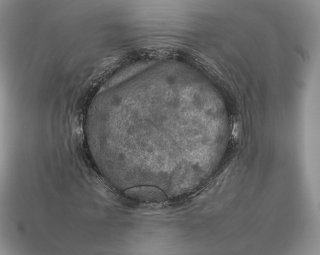 X0000112770771200909101550