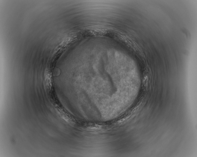 X0000112770772200909101550