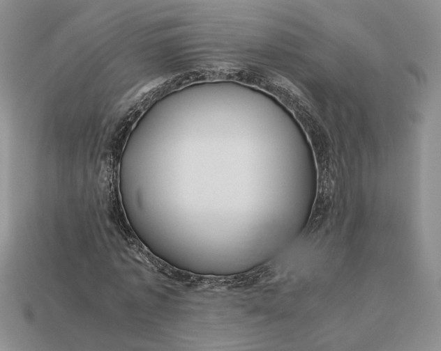 X0000112770773200909101550