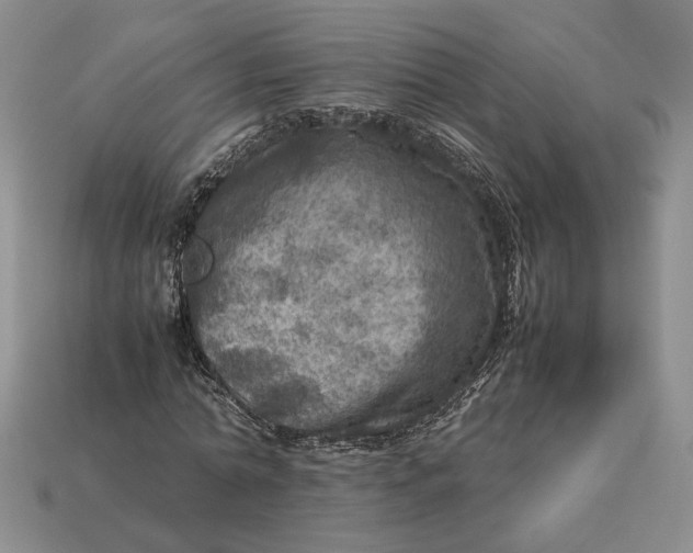 X0000112770774200909101550