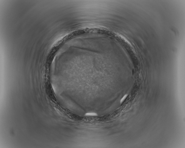 X0000112770775200909101550