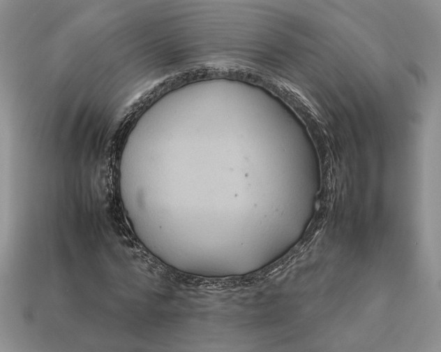 X0000112770776200909101550