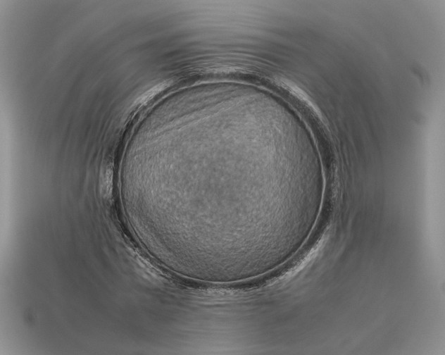 X0000112770777200909101550