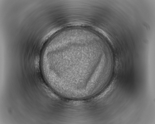 X0000112770778200909101550