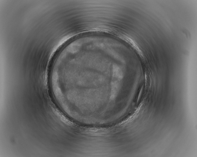 X0000112770780200909101550