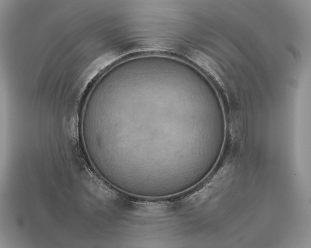 X0000112770781200909101550