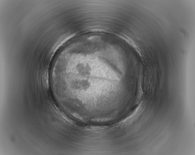 X0000112770782200909101550