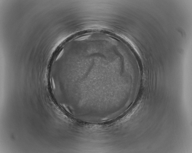 X0000112770783200909101550