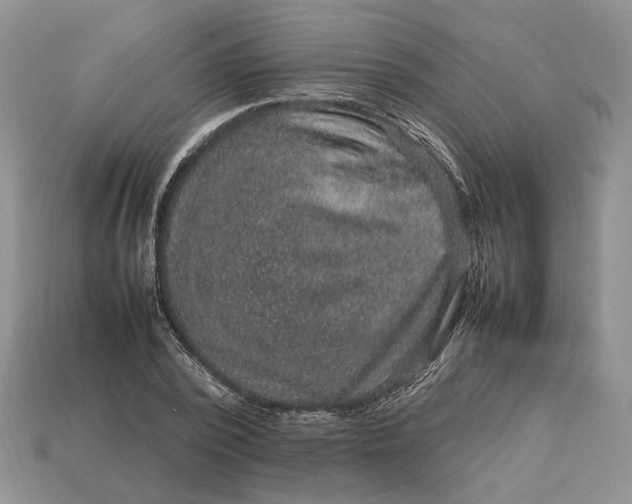 X0000112770784200909101550