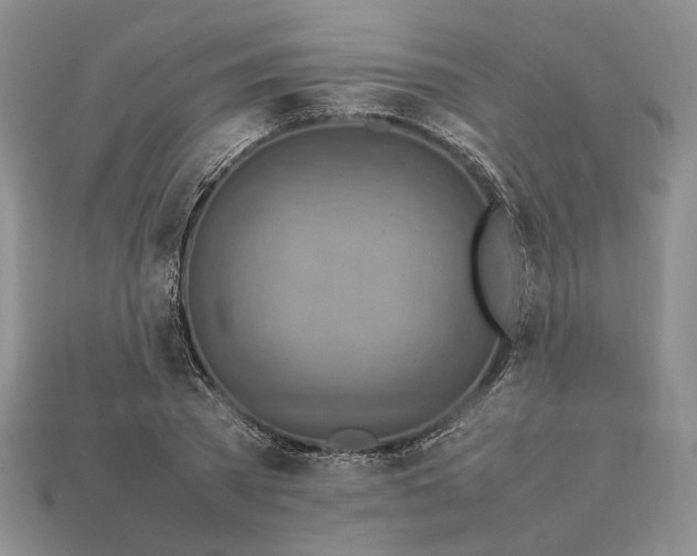 X0000112770785200909101550