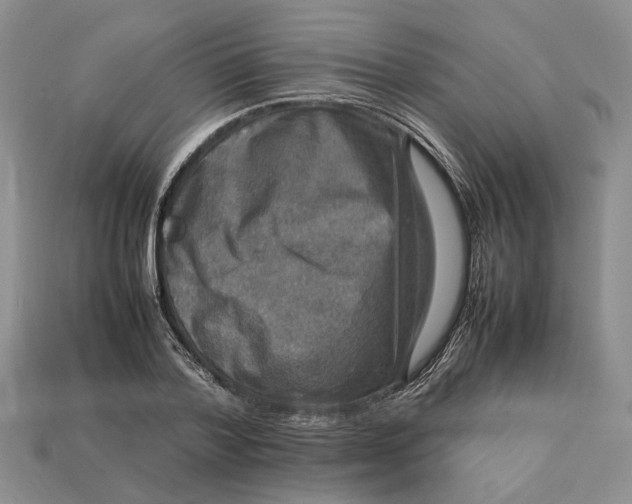 X0000112770788200909101550