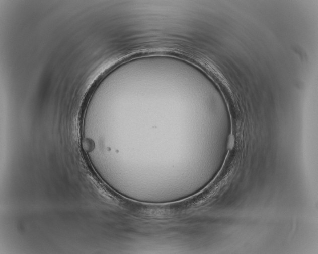 X0000112770789200909101550