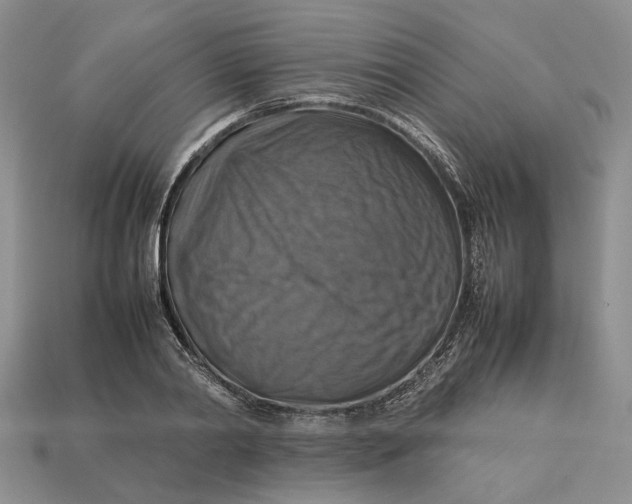 X0000112770790200909101550