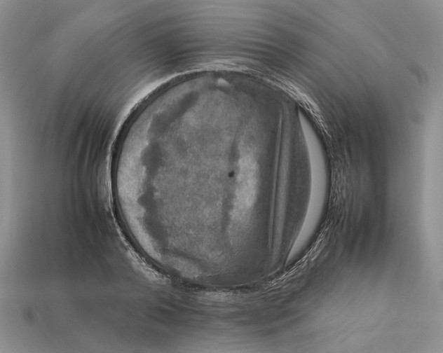 X0000112770792200909101550