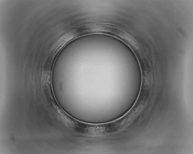 X0000112770793200909101550