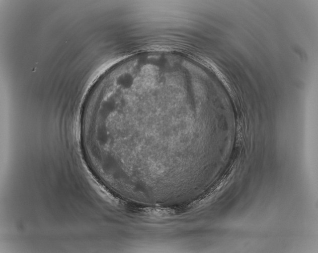 X0000112770795200909101550