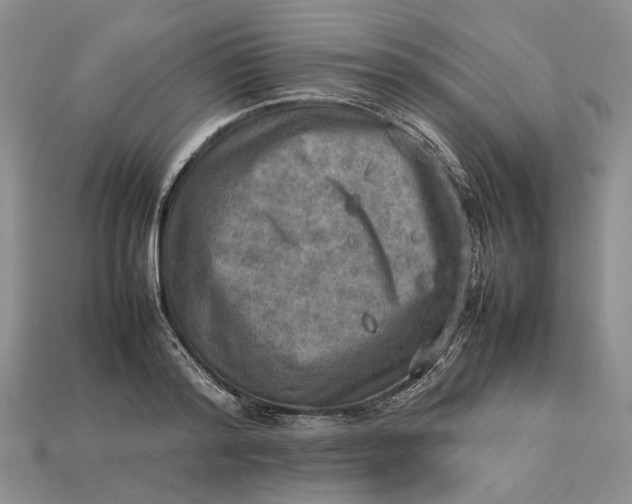 X0000112770796200909101550