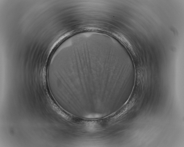 X0000112770798200909101550