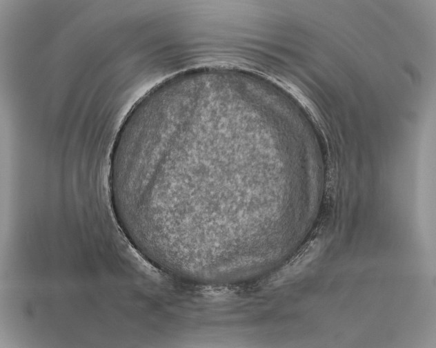 X0000112770799200909101550