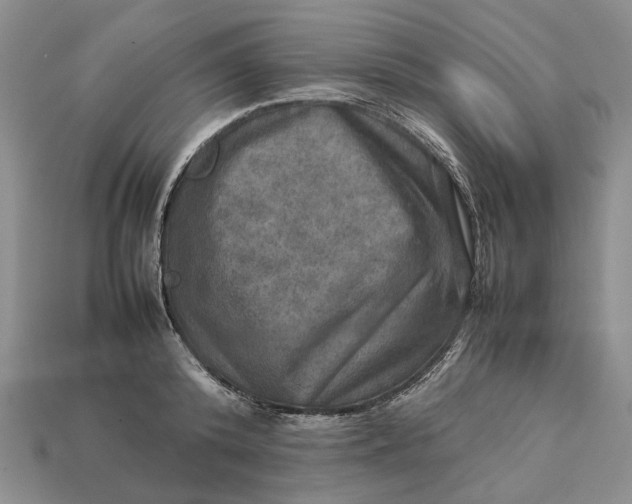 X0000112770800200909101550